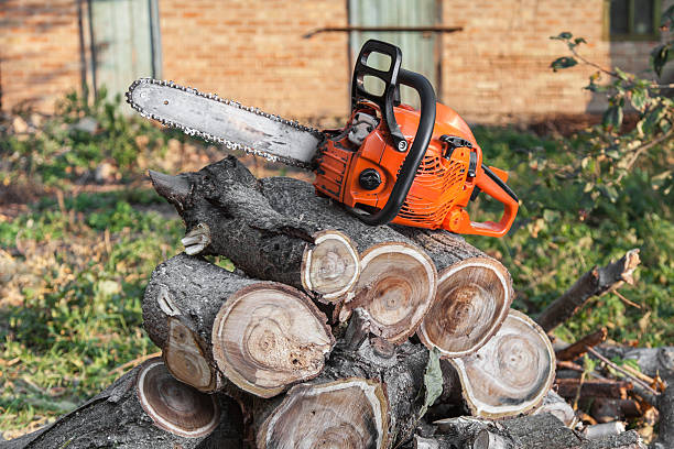  Clendon, AR Tree Service Pros